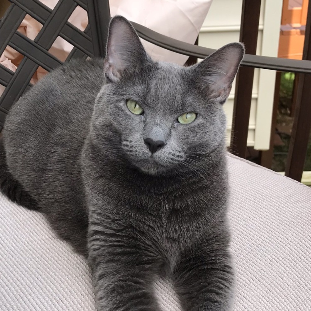 Meet your Posher, Andrea